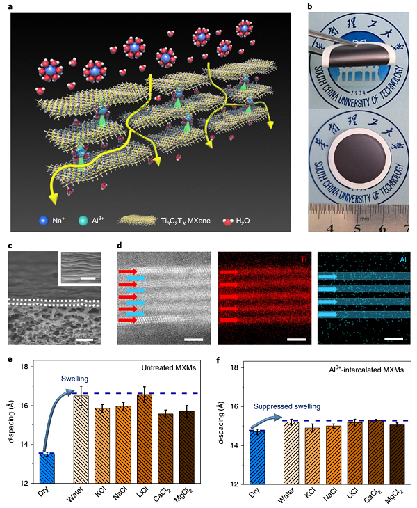 二维材料&海水脱盐：强强联合，鼎力推荐！