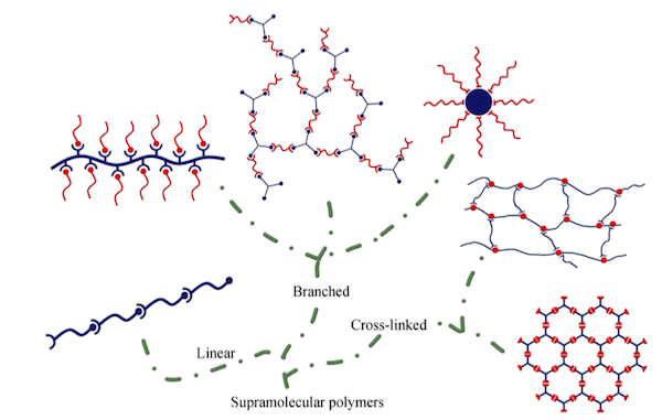 学术干货｜快速了解超分子聚合物的前世今生