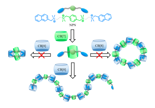 学术干货｜快速了解超分子聚合物的前世今生