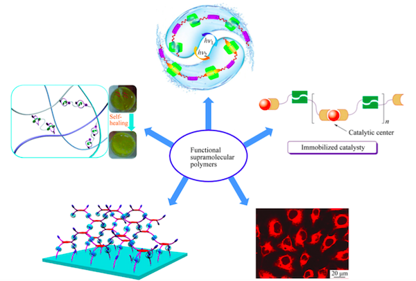 学术干货｜快速了解超分子聚合物的前世今生
