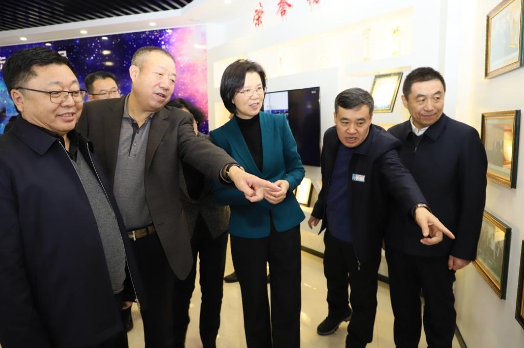 副省长沈莹到宝泰隆公司视察工作